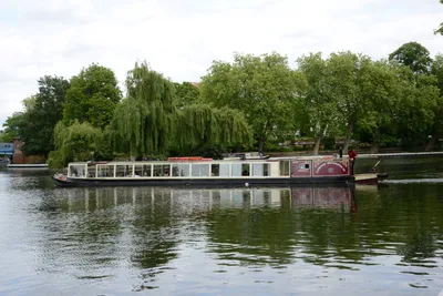 DSC_2735 (Large).JPG